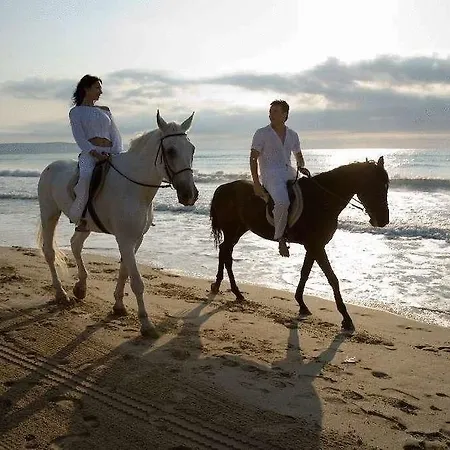 Orhidea Szálloda 3*