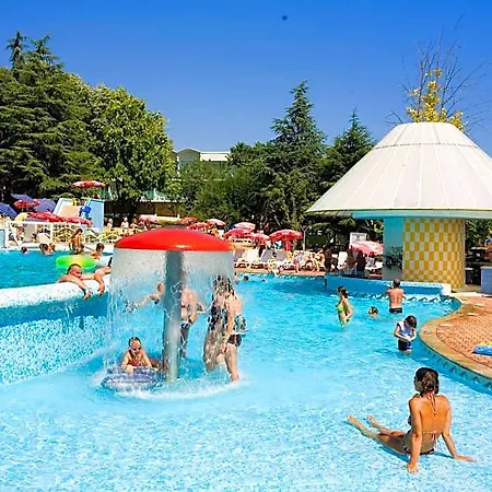 Otel Orhidea